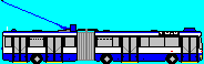 dieselelektrischer DUO-BUS 